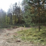 Citizen of Uzbekistan found in a Russian Forest after being stabbed and hooded 