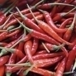 Talabalar guruhi jinsiy aloqa video