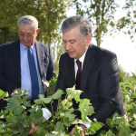 Prezident qishloq xo‘jaligini rivojlantirishning 10 yillik strategiyasini tasdiqladi