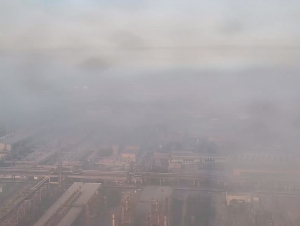 Navoiyni zaharli tutun qopladi 