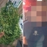 Person who sells drug was arrested in Gulistan