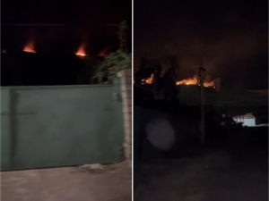 Fire broke out in forest land in Tashkent