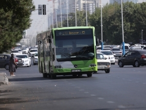Toshkent shahri va viloyati orasida yangi avtobus qatnovi yo‘lga qo‘yildi