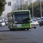Toshkent shahri va viloyati orasida yangi avtobus qatnovi yo‘lga qo‘yildi