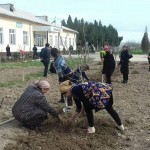 Сирдарёда давлат идоралари ва банклар мажбурий меҳнатга жалб қилингани айтилмоқда