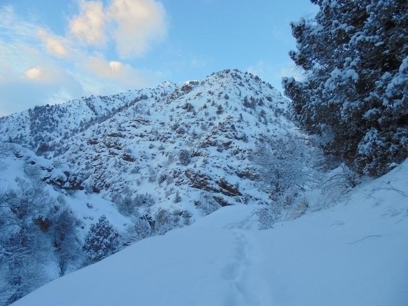 O‘zgidromet shoshilinch ogohlantirish bilan chiqdi