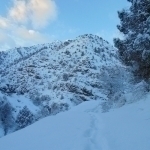 O‘zgidromet shoshilinch ogohlantirish bilan chiqdi