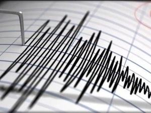 O‘zbekistonda yana zilzila sodir bo‘ldi