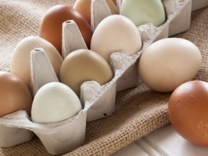 Қозоғистонга тухум олиб кириш тақиқланди