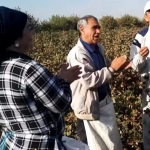 Xatlonda taniqli san’atkorlar paxta teryapti