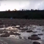 Видео: Қашқадарёда кучли сув тошқини кузатилди