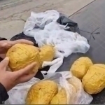 Buxoroda mashinasida salkam 5 kg “opiy” olib ketayotgan fuqaro ushlandi (video)