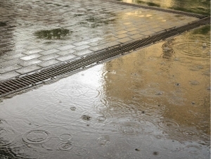 Бугун айрим ҳудудларда кучли ёмғир ёғиб, момоқалдироқ бўлади