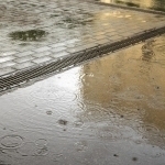 Bugun ayrim hududlarda kuchli yomg‘ir yog‘ib, momoqaldiroq bo‘ladi