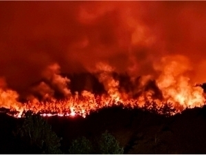 Turkiya viloyatlari alanga ichida qoldi (video)