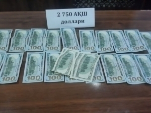 In Nukus, individuals who promised enrollment in the Nukus State Pedagogical Institute were apprehended