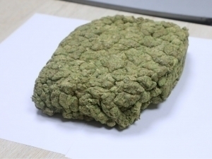 Тошкент аэропортида хорижий йўловчи 6,3 кг “марихуана” билан қўлга тушди