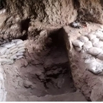 9,000-year-old sickle and cereals discovered in Boysun