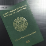Мингдан ортиқ киши Ўзбекистон фуқаролигисиз қолиши мумкин
