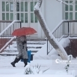 Birinchi RVZda porno