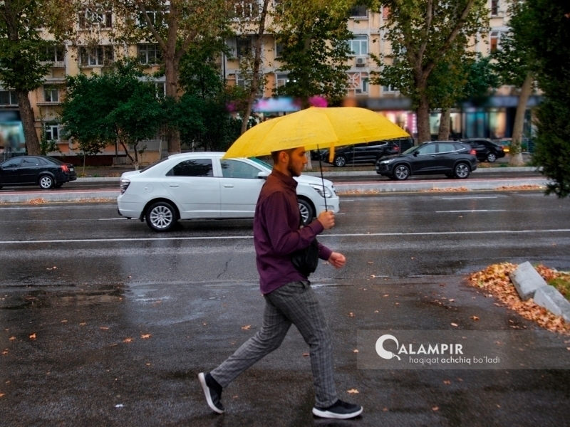Эртага қайси вилоятларда ёмғир ёғиши айтилди