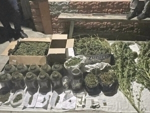 Major drug bust in Tashkent. 38 kg of narcotics seized