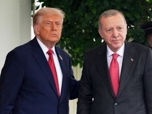 Tramp Turkiyaga boradi (video)