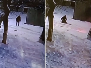 Did a citizen die in a dog attack in Tashkent?  