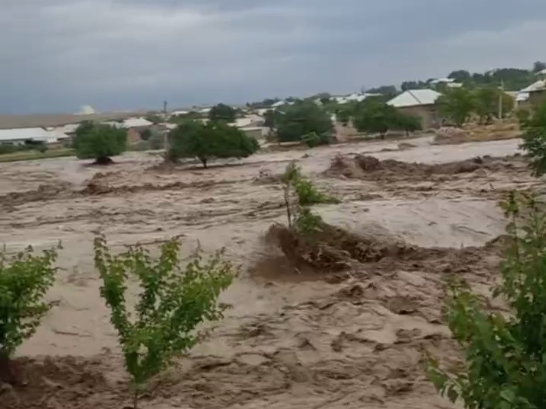 Navoiyda kuchli sel: 4 ta qishloq evakuatsiya qilindi, mashinalar oqib ketdi (video)