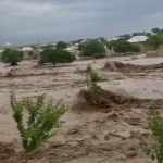 Navoiyda kuchli sel: 4 ta qishloq evakuatsiya qilindi, mashinalar oqib ketdi (video)