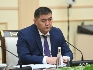 Қамчибек Ташиевнинг иши судга оширилди