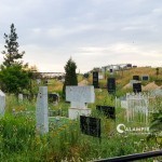 Тошкентда “ўлиш нархи” тасдиқланди