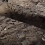 Hofiz Asadning suyak qoldiqlari o‘g‘irlab ketildi (video)