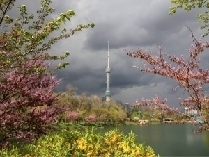 Апрелнинг илк кунида об-ҳаво қандай бўлади?