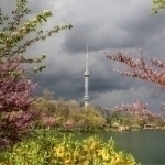 Aprelning ilk kunida ob-havo qanday bo‘ladi?