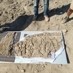 Rare Samanid-era artifacts discovered in Bukhara