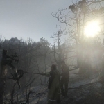 Fire in Surkhandarya forests extinguished with helicopters and drones (video)