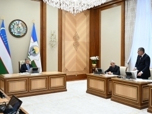 Toshkent va uning atrofida yashil zonalar maydoni 3 baravarga oshiriladi