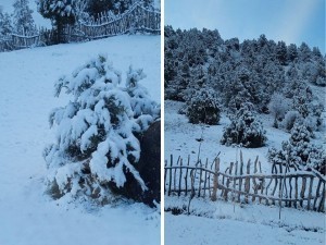 Heavy snow fell in 2 districts of Kashkadarya