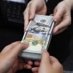 Dollar kursi ko‘tarildi