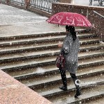 Талабалар учун ўқиш бошланадими? Вазирлик бутун масъулиятни бўйнидан соқит қилди