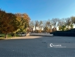 What will the weather be like tomorrow?