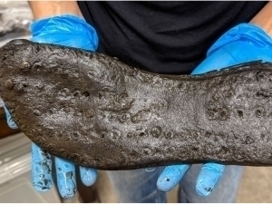 Rim imperiyasi davriga oid ulkan oyoq kiyimi topildi