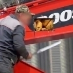 O‘zbekistonga qariyb 600 kg narkotik olib kirayotgan shaxs ushlandi (video)