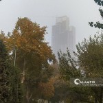 Ertaga chang bo‘roni bo‘lishi kutilmoqda