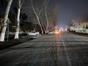 Spark crashes into roadside tree in Andijan, resulting in casualties