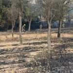 Toshkentdagi Yadro fizikasi institutining 6 gektar maydoni yonib ketdi