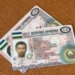 Ҳайдовчилик гувоҳномаларини сохталаштириб берган ходимлар ушланди