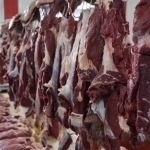  Uzbekistan to import 2,000 tons of meat from Mongolia