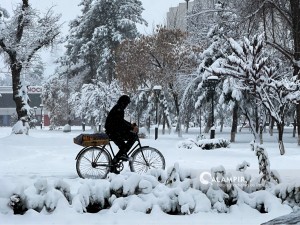 It was revealed how long the anomalous cold will last in Uzbekistan